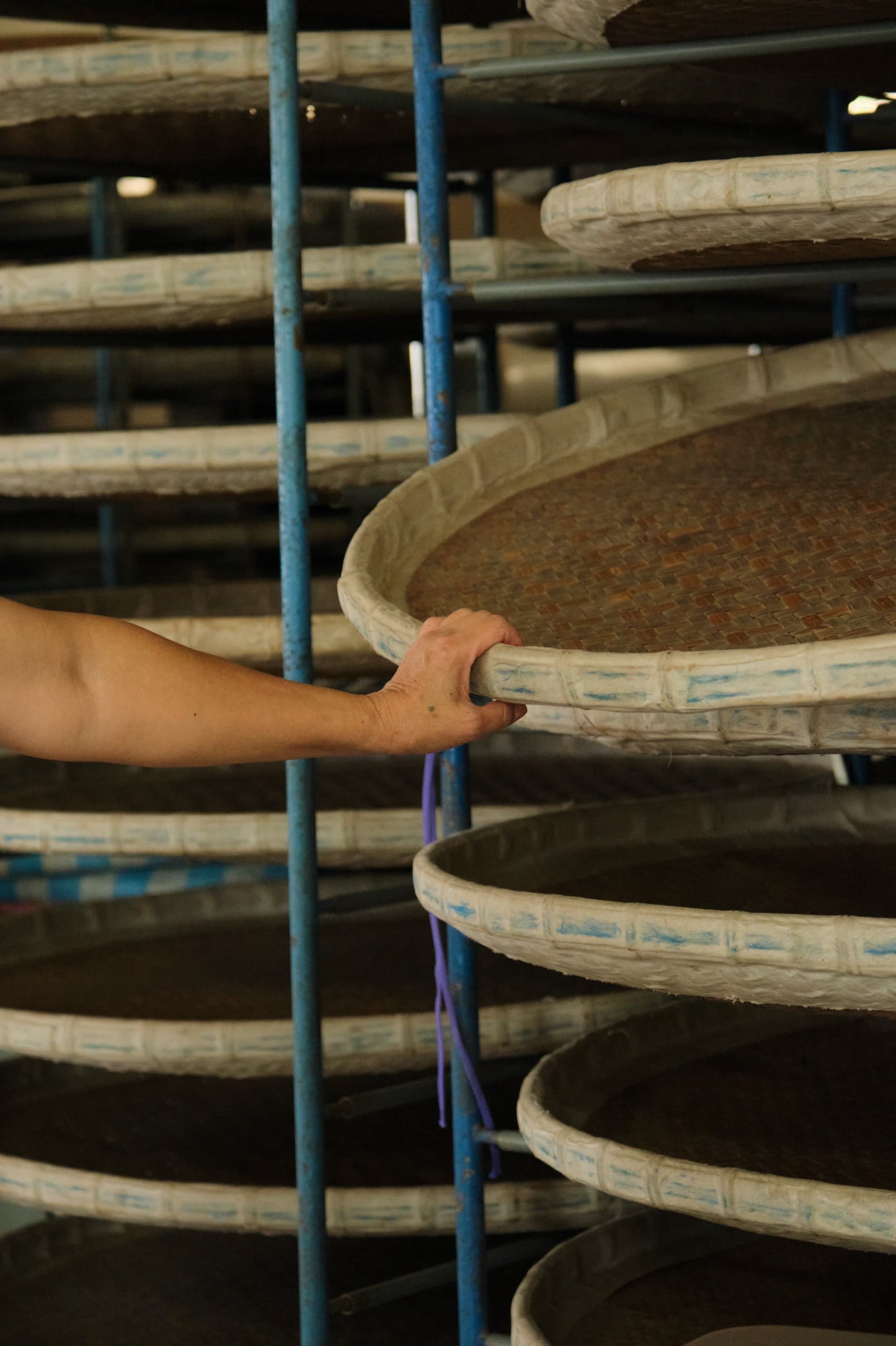 金柑×グレープフルーツ×東方美人茶(金桔葡萄柚烏龍茶酒)