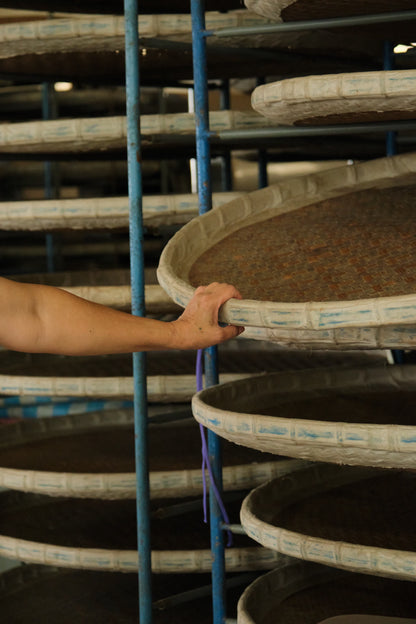 金柑×グレープフルーツ×東方美人茶(金桔葡萄柚烏龍茶酒)