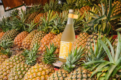 パイナップル金萱茶酒